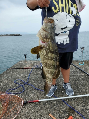 クエの釣果