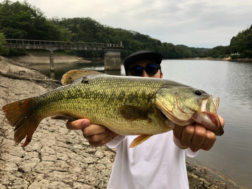 ラージマウスバスの釣果