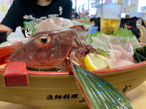 ホウボウの釣果