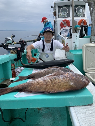 マダイの釣果