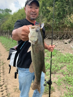 ブラックバスの釣果