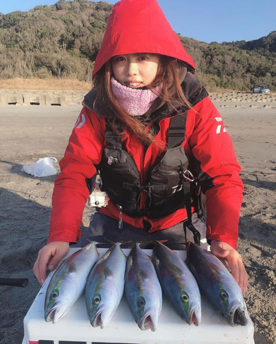 ハマチの釣果