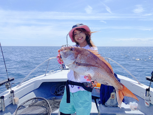 マダイの釣果