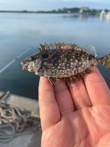 釣果