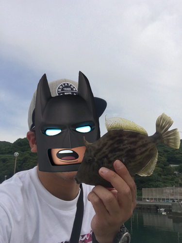 カワハギの釣果