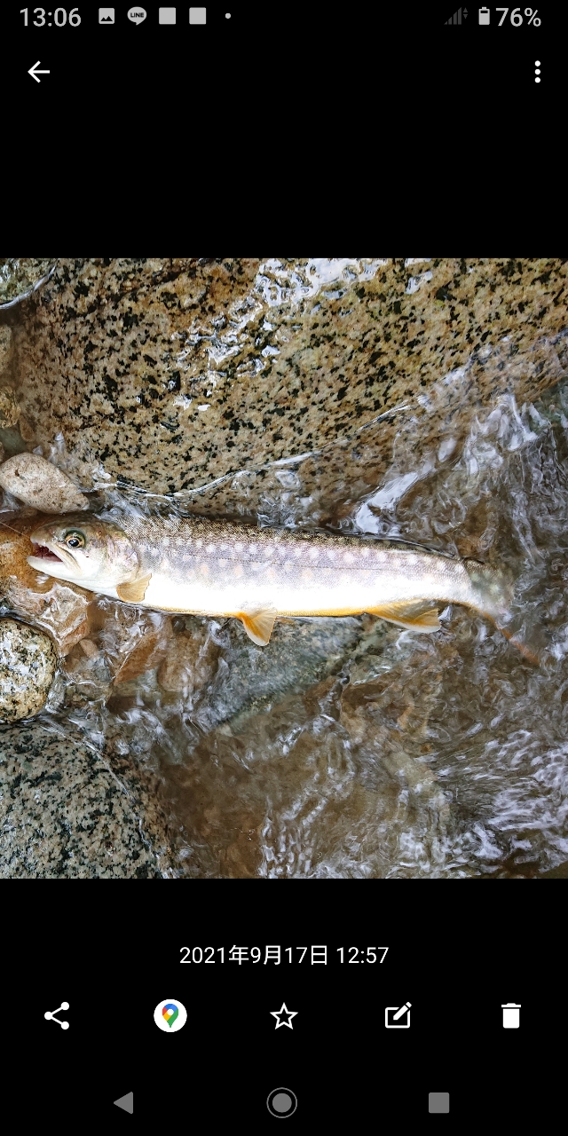 イワナ