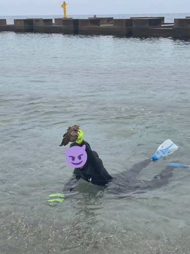 オニオコゼの釣果