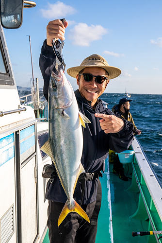 ワラサの釣果