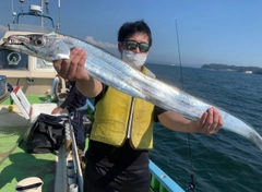 タチウオの釣果