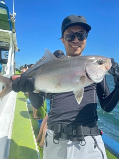 ショゴの釣果