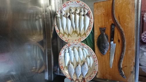 釣果