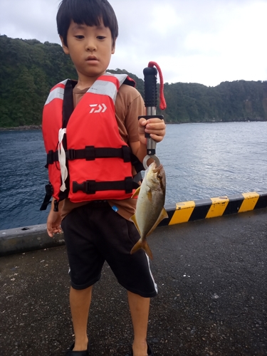 ショゴの釣果