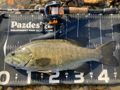 スモールマウスバスの釣果