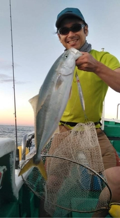 メジロの釣果