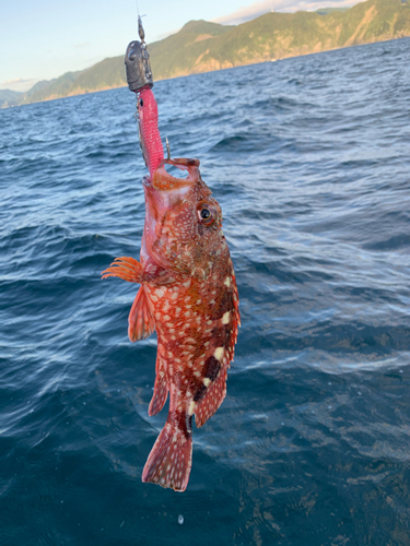 釣果