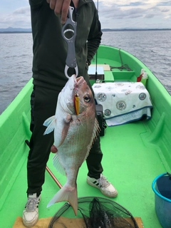 タイの釣果