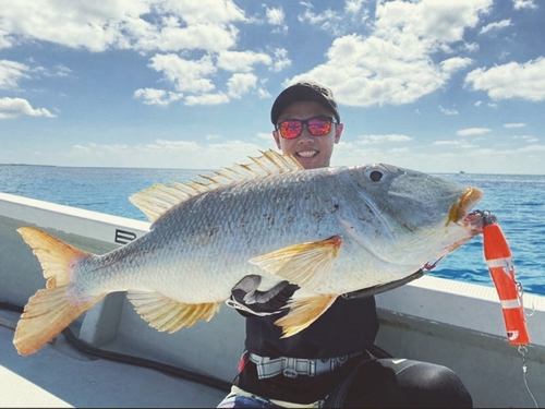 ムネアカクチビの釣果