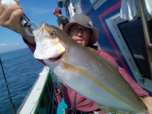 カンパチの釣果