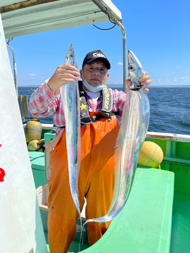 タチウオの釣果