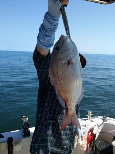 タイの釣果