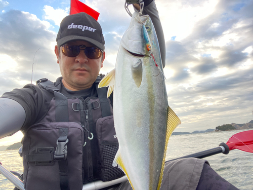 ツバスの釣果