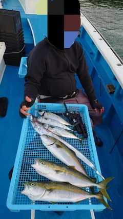 イナダの釣果