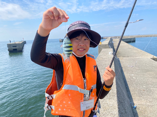 オヤビッチャの釣果