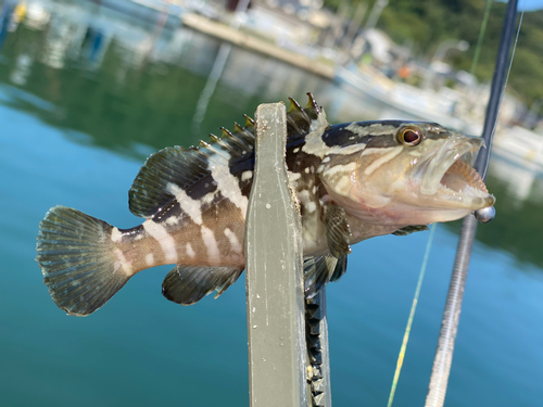 釣果