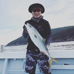 ヤズの釣果