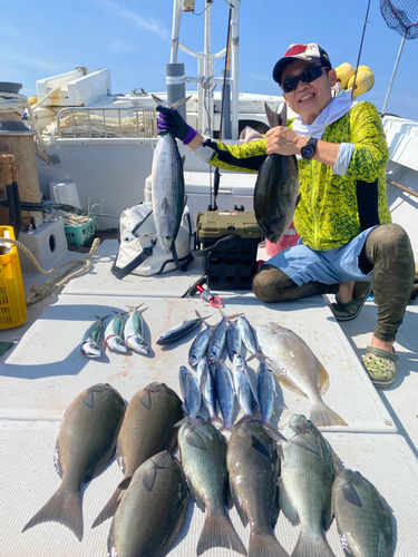 ハガツオの釣果