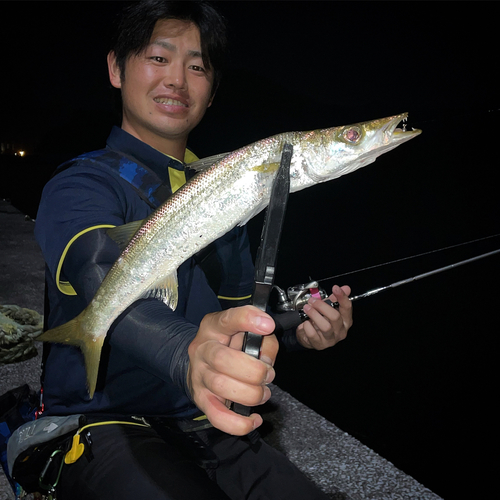 アカカマスの釣果