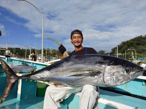 キハダマグロの釣果