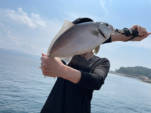 ネリゴの釣果