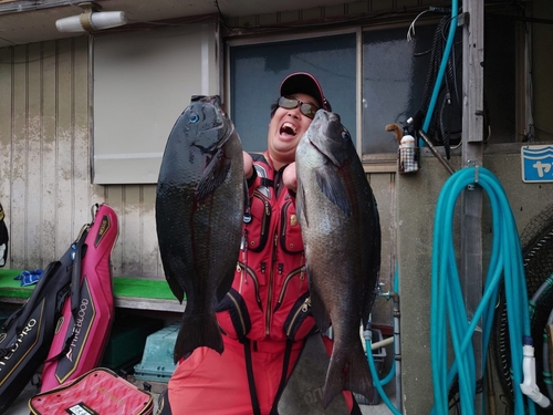 グレの釣果