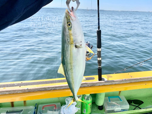 イナダの釣果