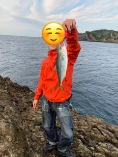 イナダの釣果