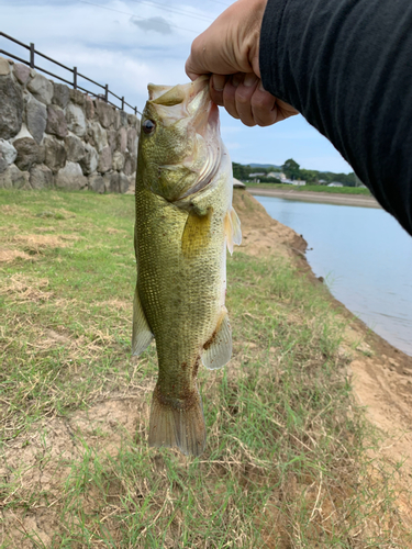 釣果