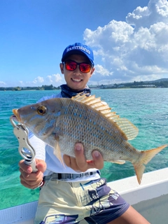 タマンの釣果