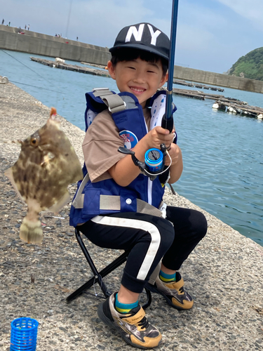 カワハギの釣果