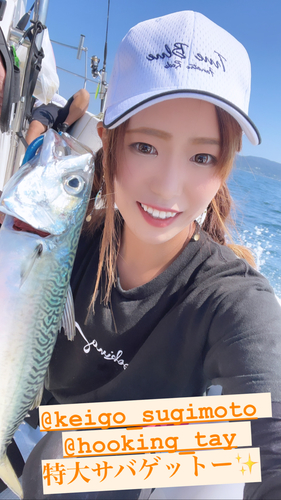 サバの釣果