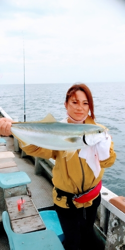 ハマチの釣果