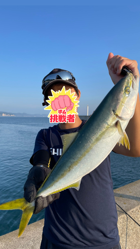 メジロの釣果