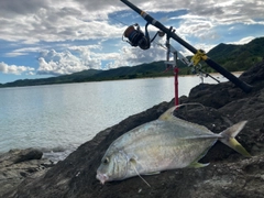 テンジクアジの釣果