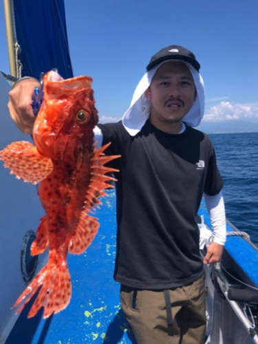 オニカサゴの釣果