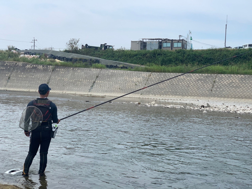 アユの釣果