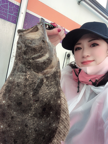 ヒラメの釣果