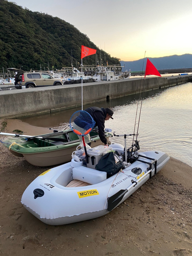 アコウの釣果