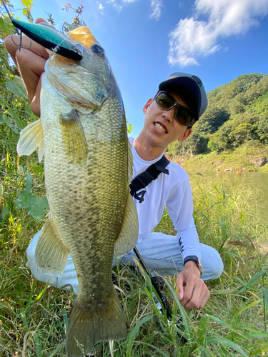 ブラックバスの釣果