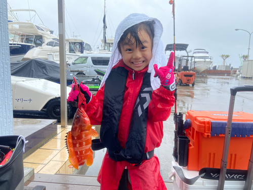 アカハタの釣果