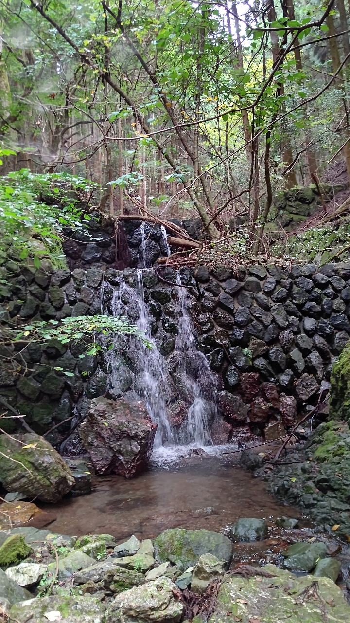 イワナ